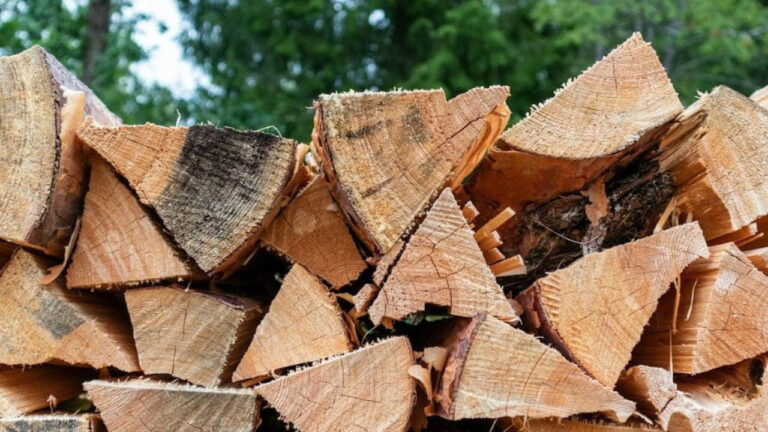 Bois de chauffage 40 euros le stère