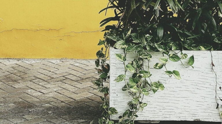 Étanchéité jardinière parpaing