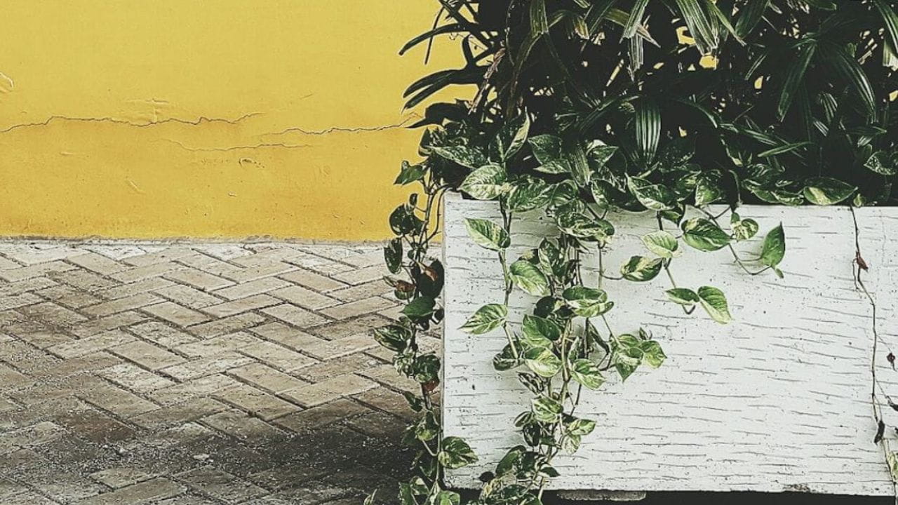 Étanchéité jardinière parpaing