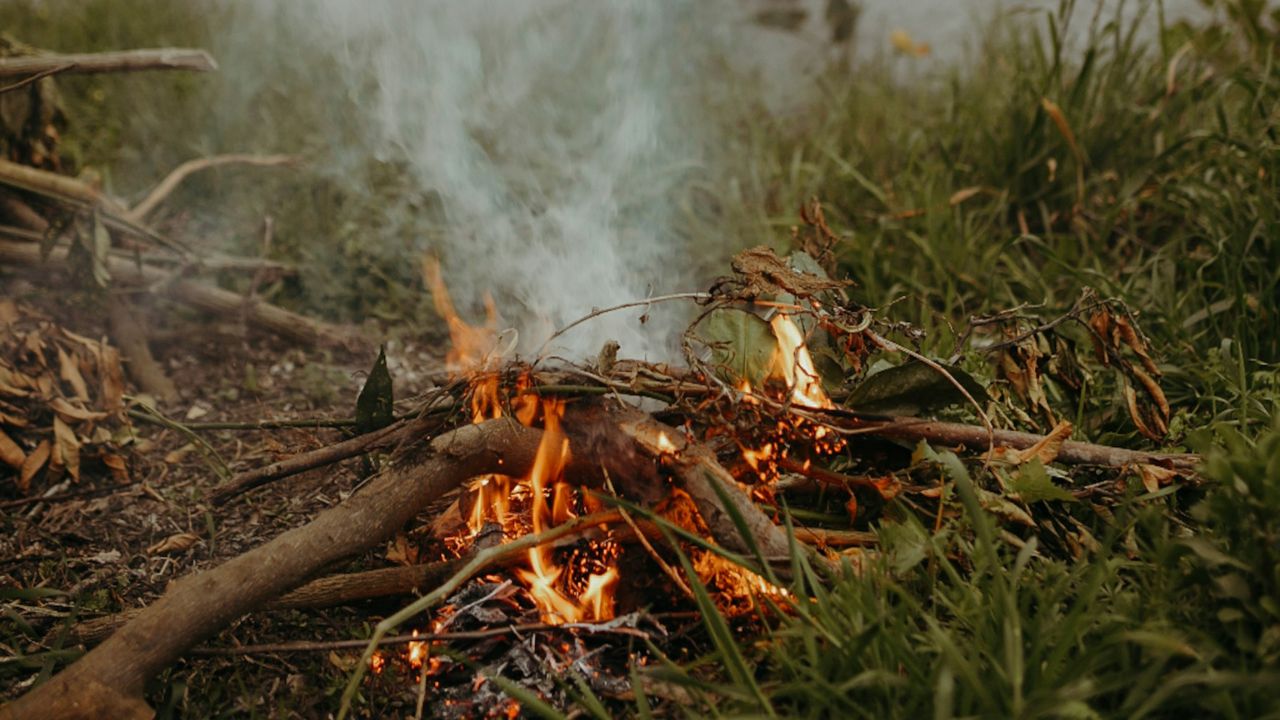 Mon voisin fait du feu dans son jardin