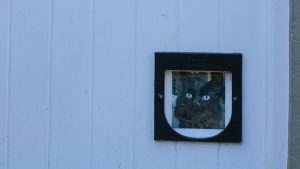 Installer une chatière sans faire de trou