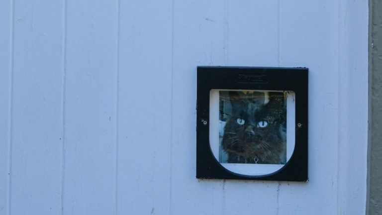 Installer une chatière sans faire de trou