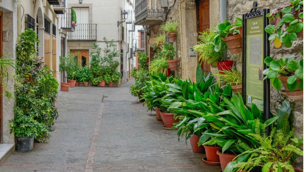 Planter dans un pot haut et étroit