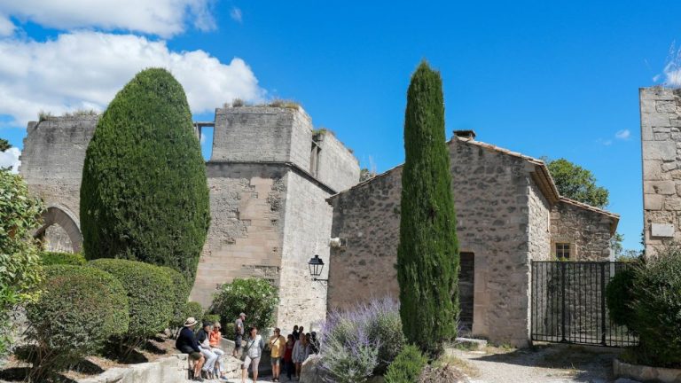 Cyprès de Provence
