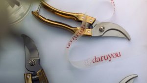 Désinfecter un sécateur